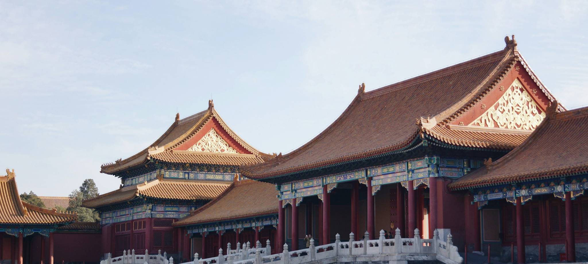 乐鱼体育团队